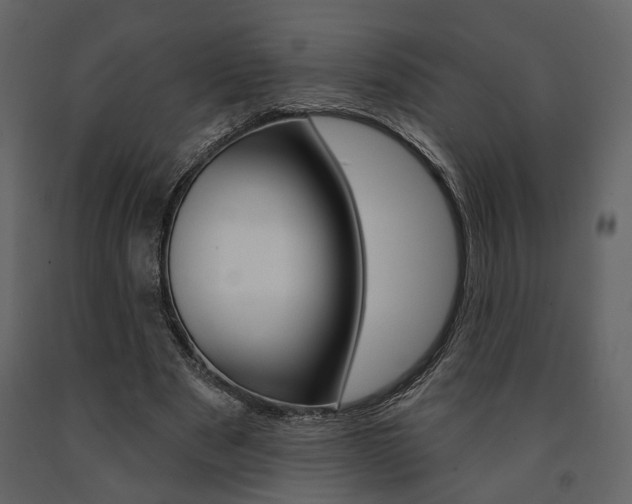 X0000091670489200708231017