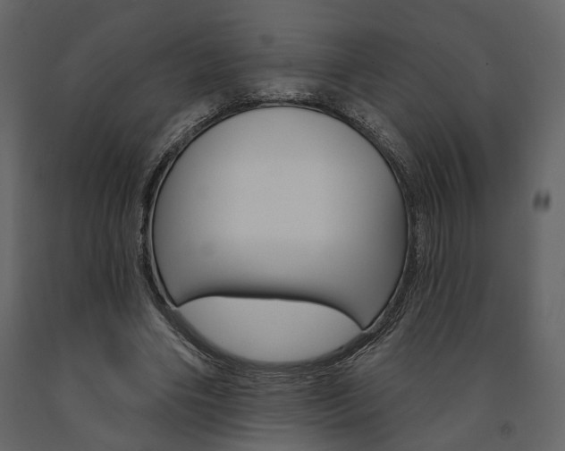 X0000091670490200708231017