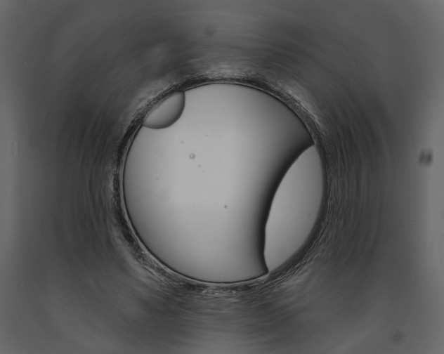 X0000091670491200708231017