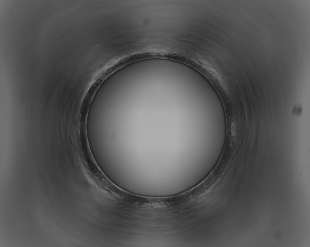 X0000091670492200708231017
