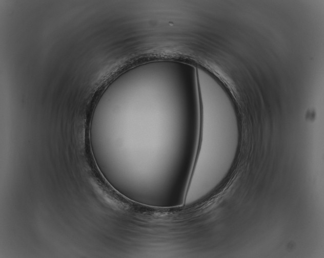 X0000091670493200708231017