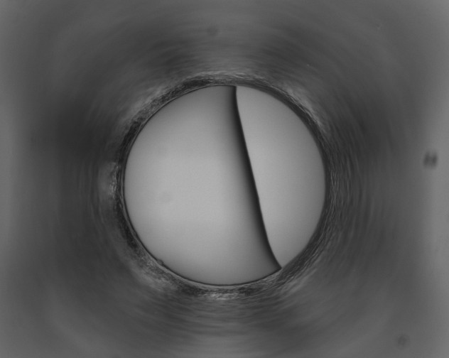 X0000091670495200708231017