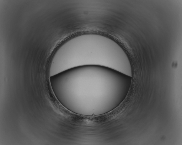 X0000091670496200708231017