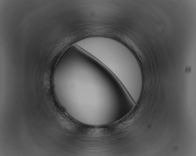 X0000091670497200708231017