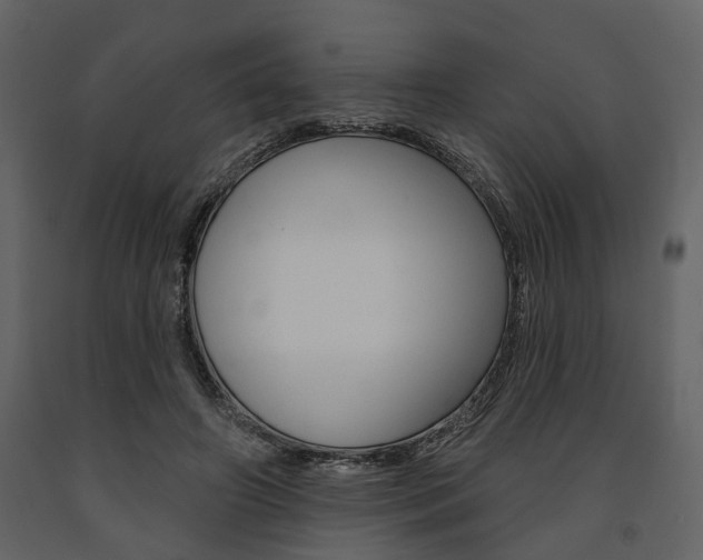 X0000091670498200708231017