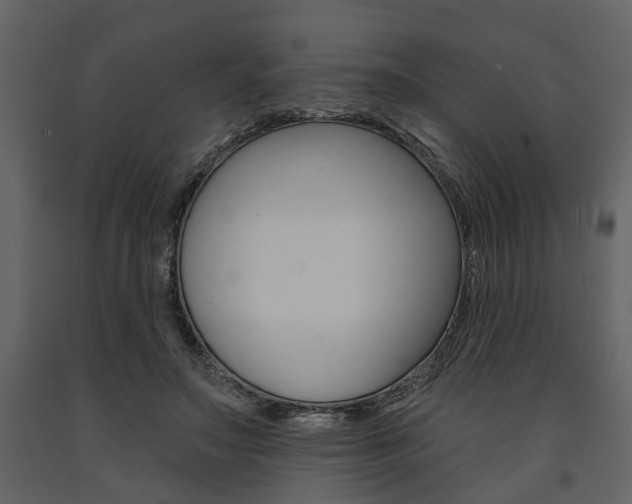X0000091670499200708231017