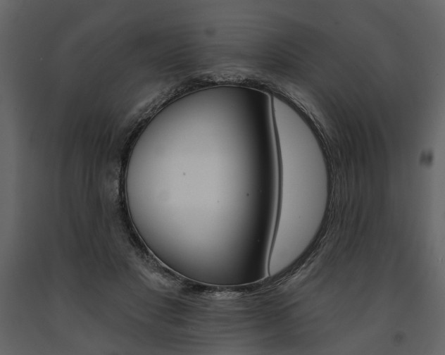 X0000091670501200708231017