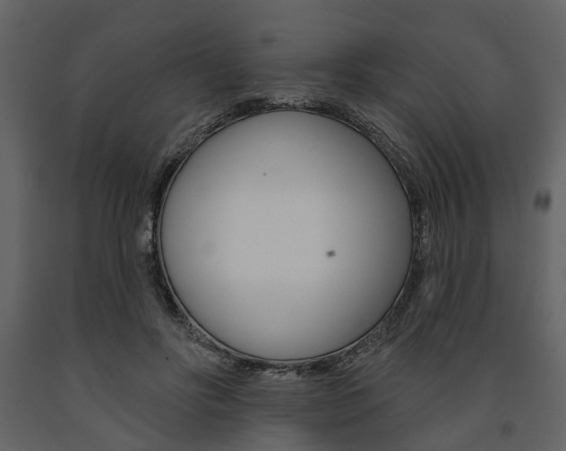 X0000091670502200708231017
