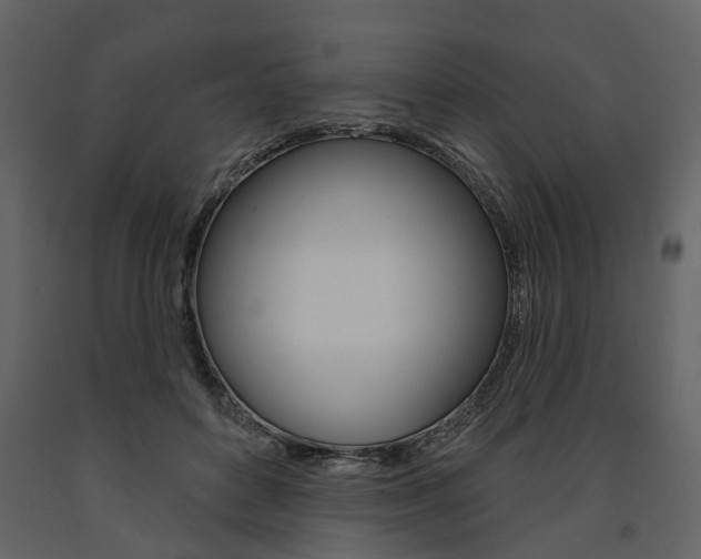 X0000091670504200708231017
