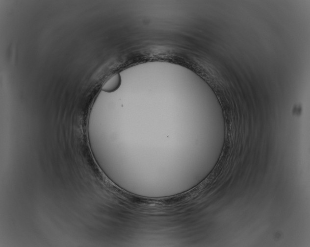 X0000091670506200708231017