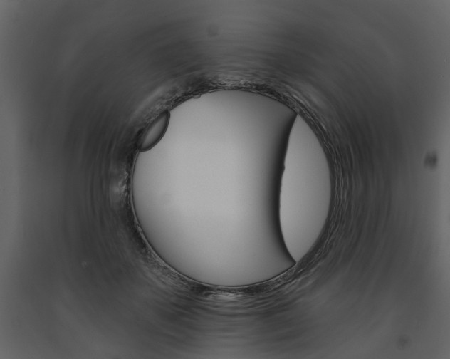 X0000091670507200708231016