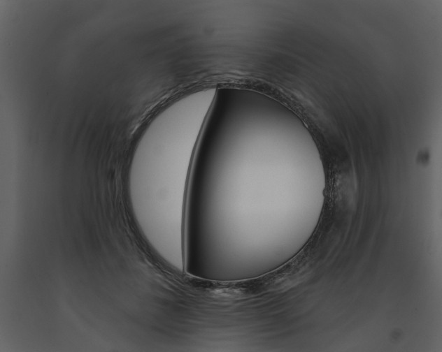 X0000091670508200708231016