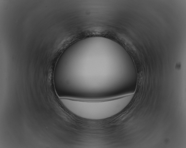 X0000091670509200708231016