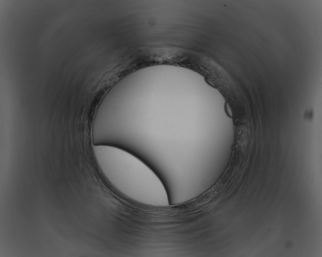 X0000091670510200708231016