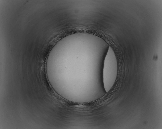 X0000091670511200708231016