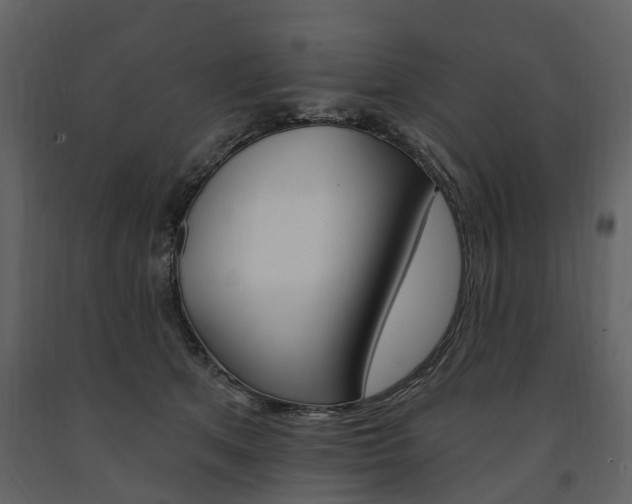 X0000091670513200708231016