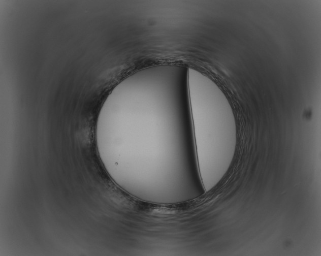 X0000091670515200708231016