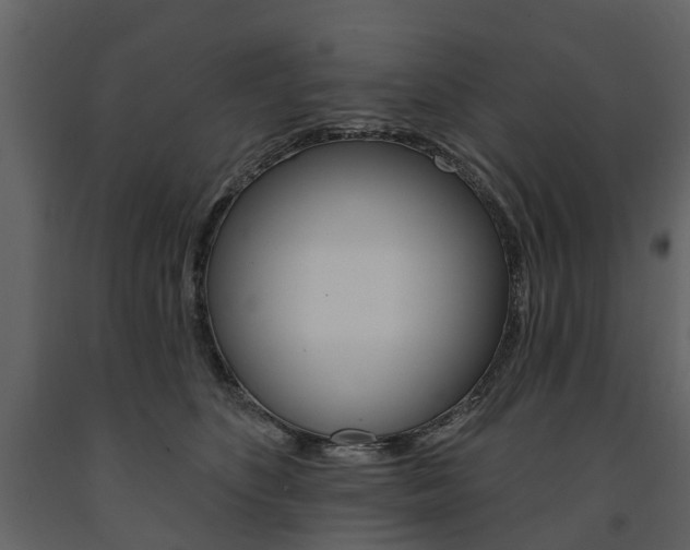 X0000091670516200708231016