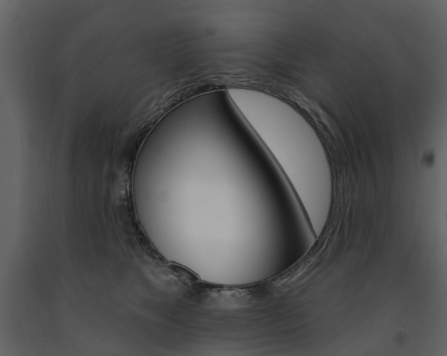 X0000091670517200708231016