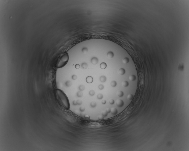 X0000091670519200708231016