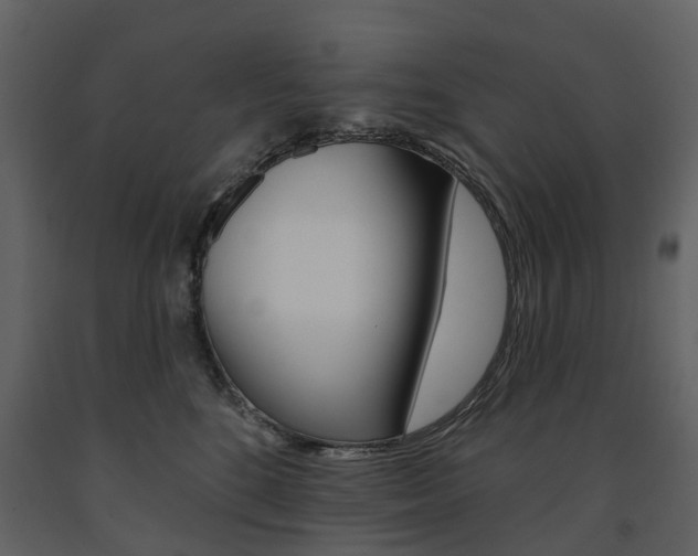 X0000091670520200708231016