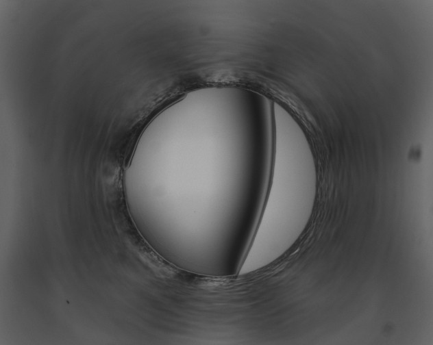 X0000091670521200708231016