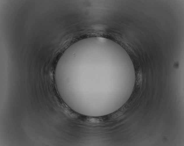 X0000091670522200708231016