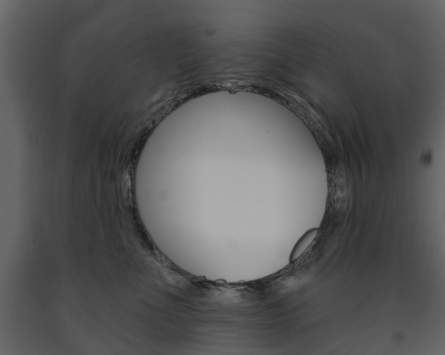 X0000091670523200708231016