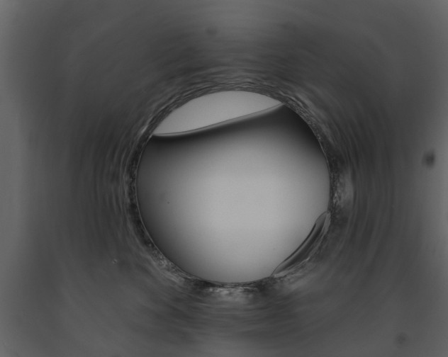 X0000091670524200708231016