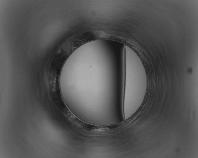 X0000091670525200708231016