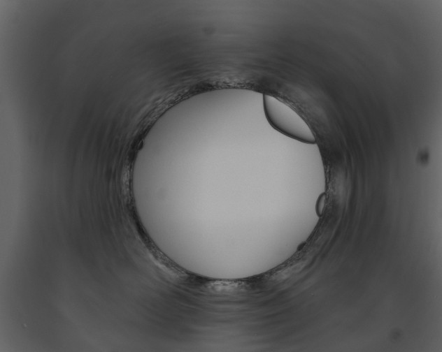 X0000091670526200708231016