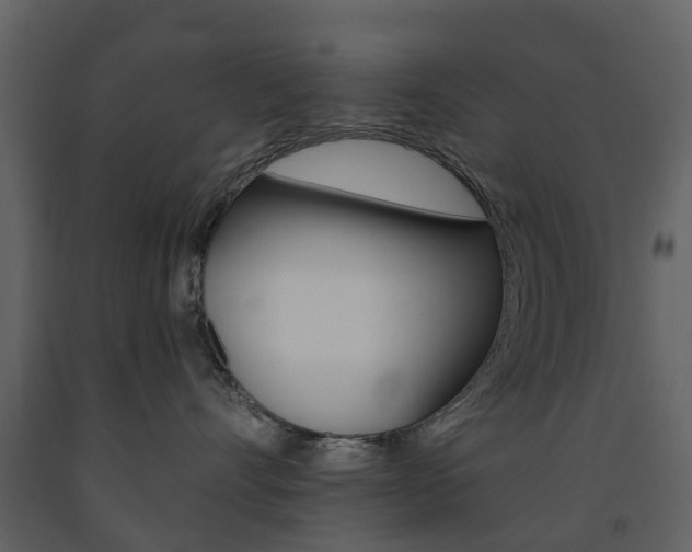 X0000091670528200708231016
