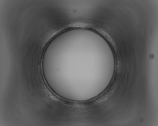 X0000091670529200708231015