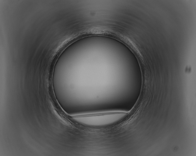 X0000091670530200708231015