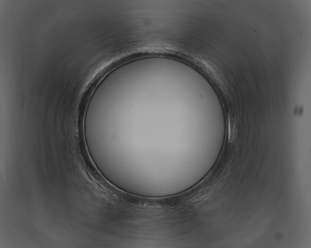 X0000091670531200708231015
