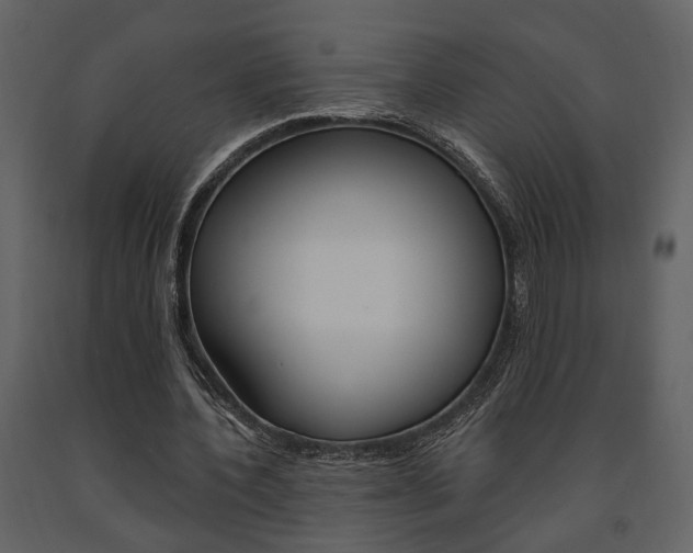 X0000091670532200708231015