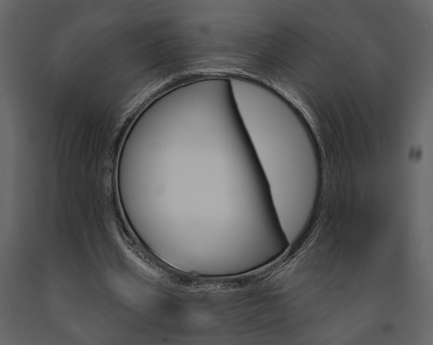 X0000091670533200708231015