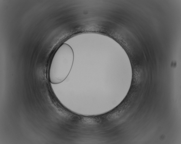 X0000091670534200708231015