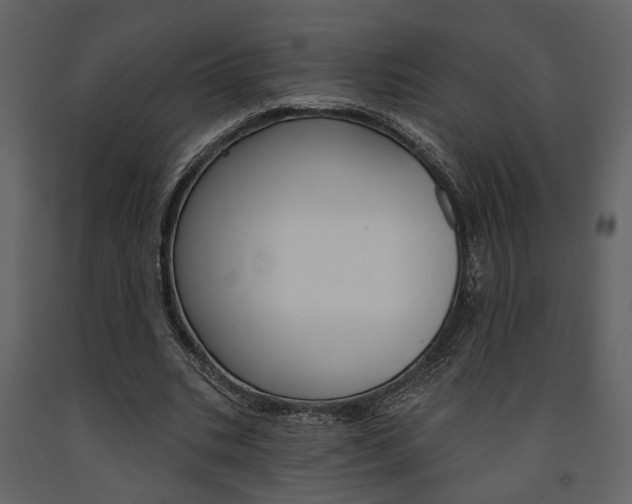 X0000091670535200708231015