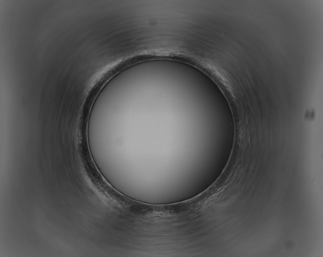 X0000091670536200708231015