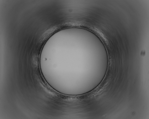 X0000091670537200708231015