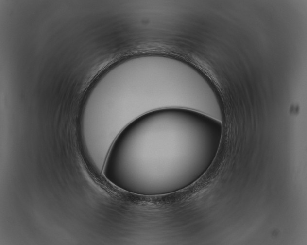 X0000091670538200708231016