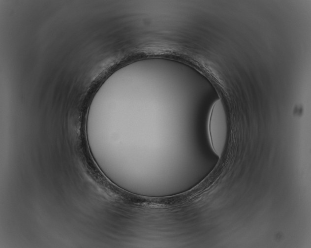 X0000091670539200708231016