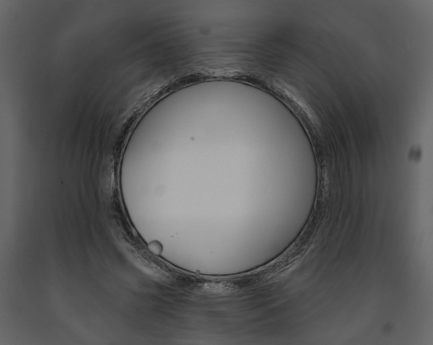X0000091670541200708231016