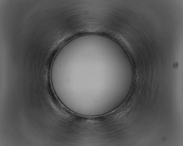 X0000091670542200708231016