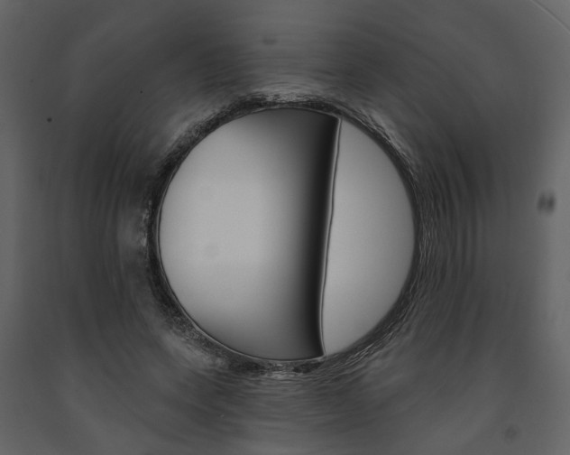 X0000091670543200708231016