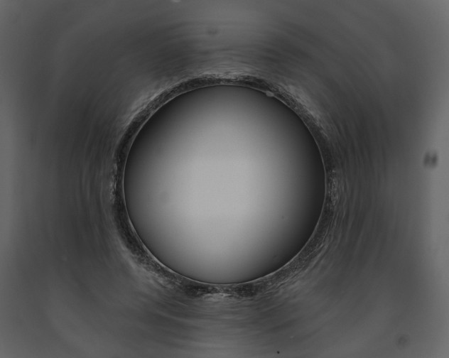 X0000091670544200708231016