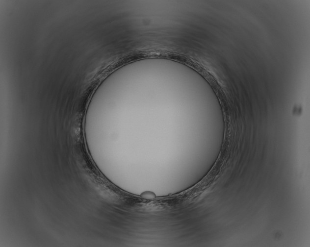 X0000091670545200708231016