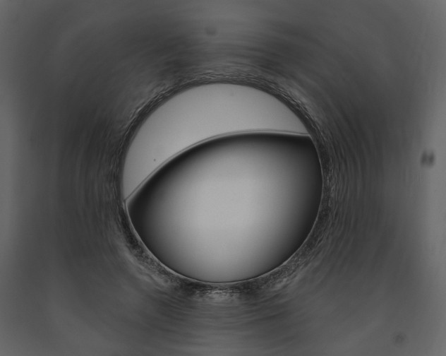 X0000091670546200708231016