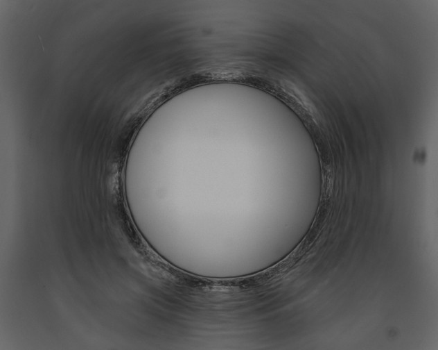 X0000091670549200708231016